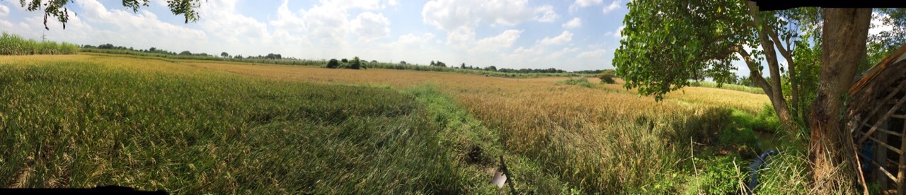 guna-farm-panaroma-shot